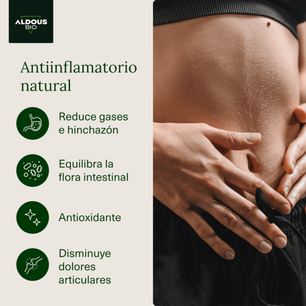 Cúrcuma Ecológica con Jengibre, Pimienta Negra y Probióticos Aldous Bio | 250 Cápsulas