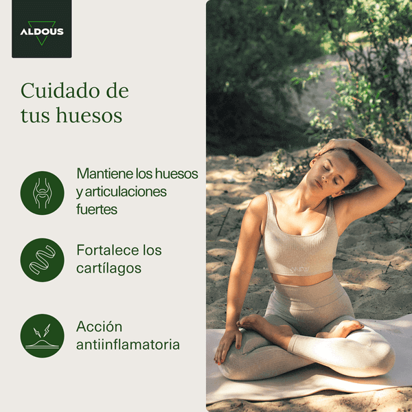 Glucosamina, Condroitina, MSM, Colágeno, Ácido Hialurónico, Zinc, Calcio y Vitamina D3 | 200 comprimidos | Aldous