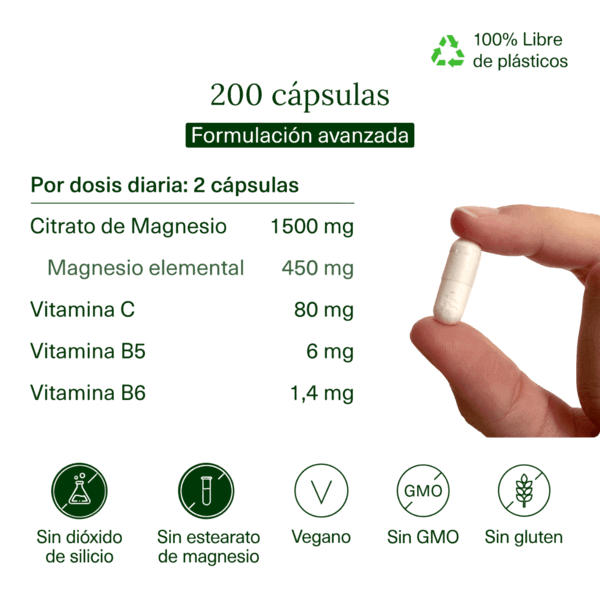 Magnesio con Vitamina C, B5 y B6 Aldous Labs | 200 Cápsulas