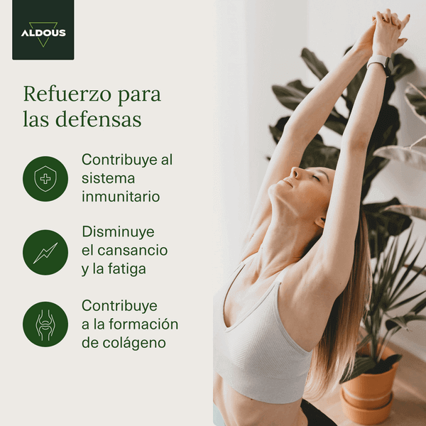 Vitamina C 1000 mg Pura Aldous | 250 comprimidos